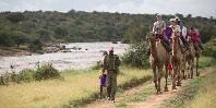Camel trekking
