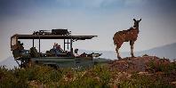 Game drive