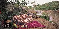 River picnic