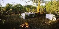 Bush dinner
