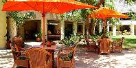 Bar terrace