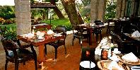 Restaurant Terrace