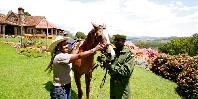 Horse riding
