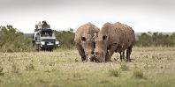 Game drive