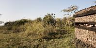 Bird hide