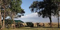 Visitors to camp