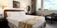 Queen guest room