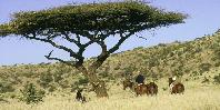 Horse riding