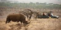 Game drive