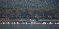 Lake Naivasha