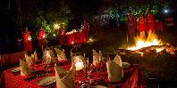 Bush dinner