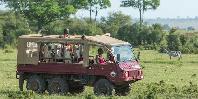 Safari vehicle