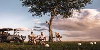 Sundowners