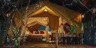 Safari Tent exterior