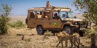 Game Drive