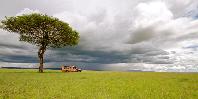 Game drive