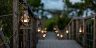 Bridge evening