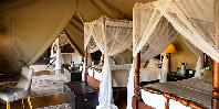 Family tent