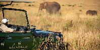 Game drive
