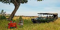 Picnic bush breakfast