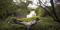 Relax by the river