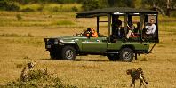 Game drive