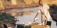 Bush dinner