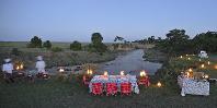 Bush dinner