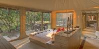 Tented Suite