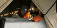 Guest Tent