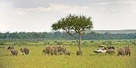 Game drive