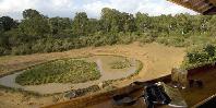 Waterhole