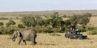 Game drive
