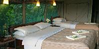 Guest tent