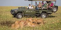 Game drive