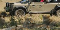 Game drive