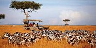 Game drive