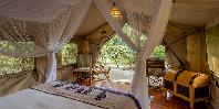 Standard Tent