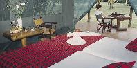Guest tent