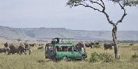 Game Drive