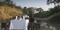 Bush breakfast
