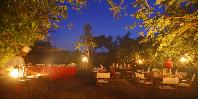 Dinner under the stars