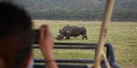 Game Drive