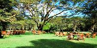 Lawns