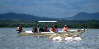 Lake Naivasha