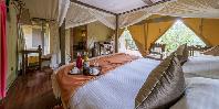 Family tent