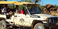 Game drive