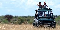 Game drive Game drive