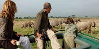 Game drive