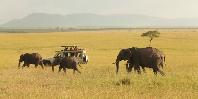 Sarova Mara Game Camp